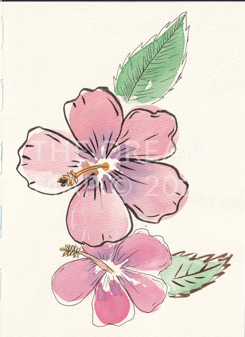 Hhibiscus - Watercolour and ink