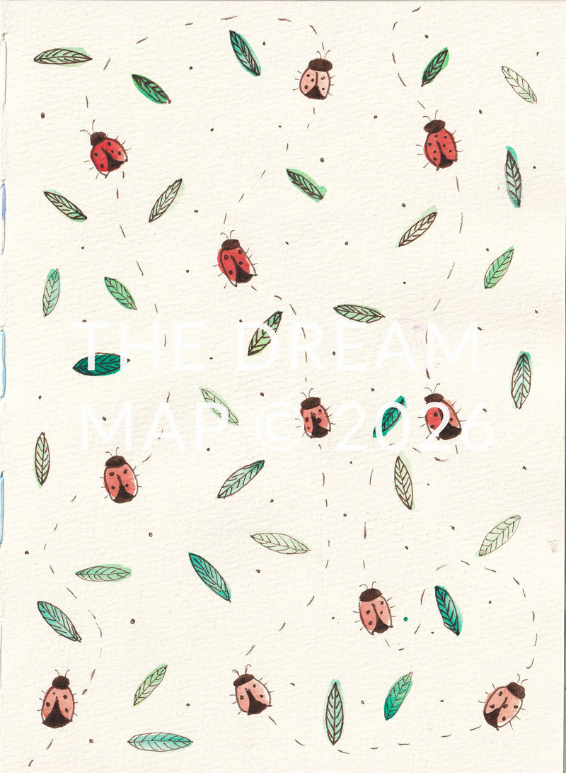 Ladybugs - Watercolour and ink
