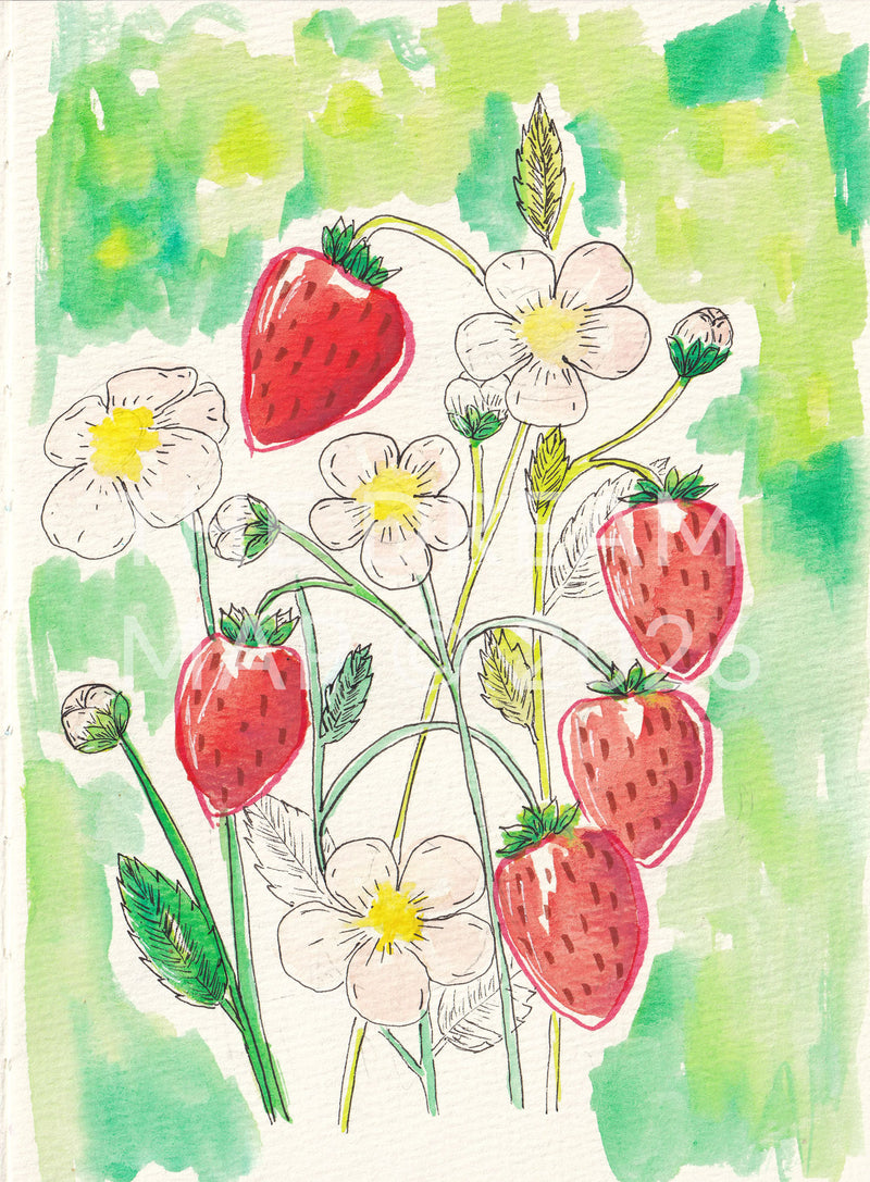 Strawberries - Watercolour and ink